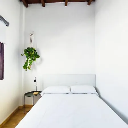 Acogedor Besos De Elah San Bartolomé