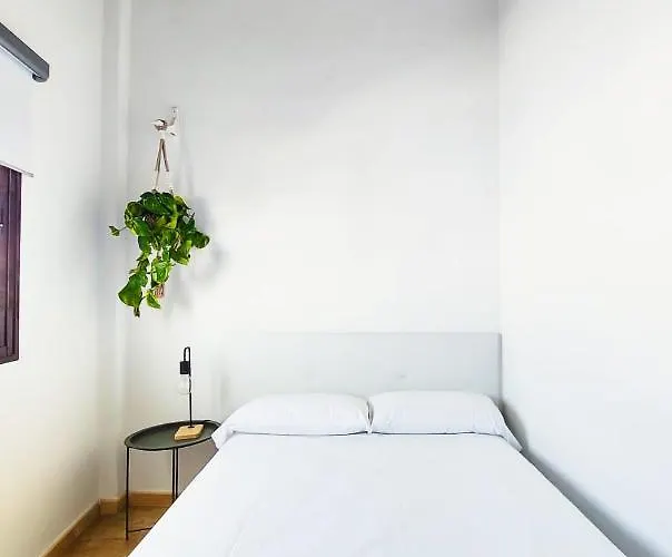 Acogedor Besos De Elah San Bartolomé